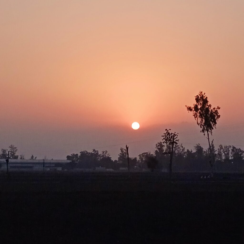 How to Stay Safe During Heatwaves in 2025